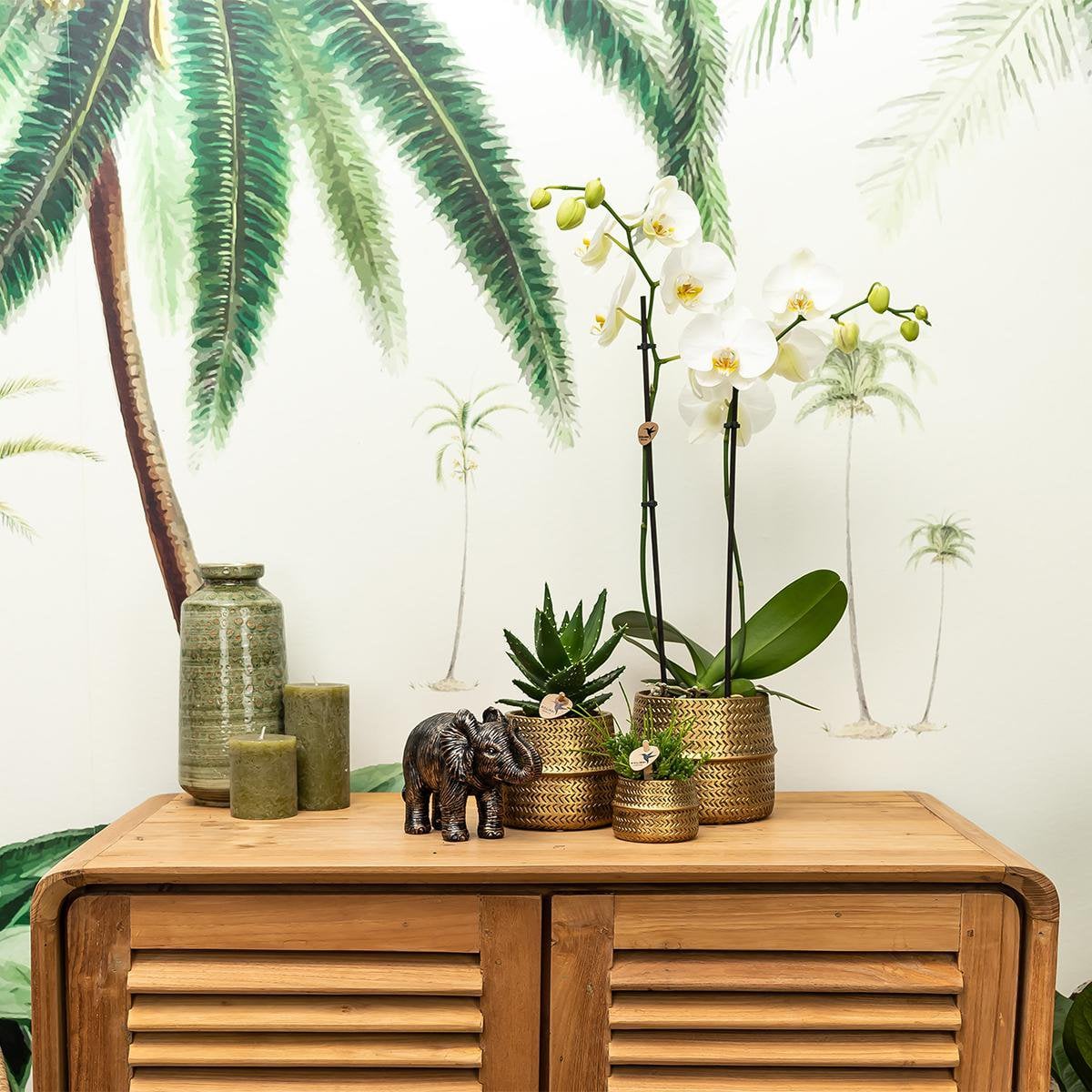 Keramische Bloempot Goud 9cm voor een Sprankelend Interieur