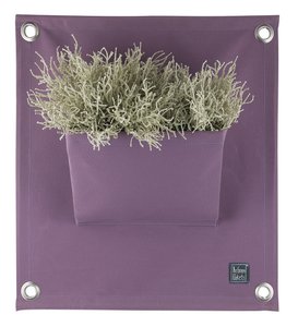 The Green Pockets® AMMA Lavender