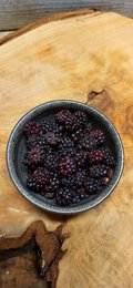 CRUNCHY FRUIT BLACKBERRY