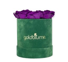 Colección Terciopelo Verde