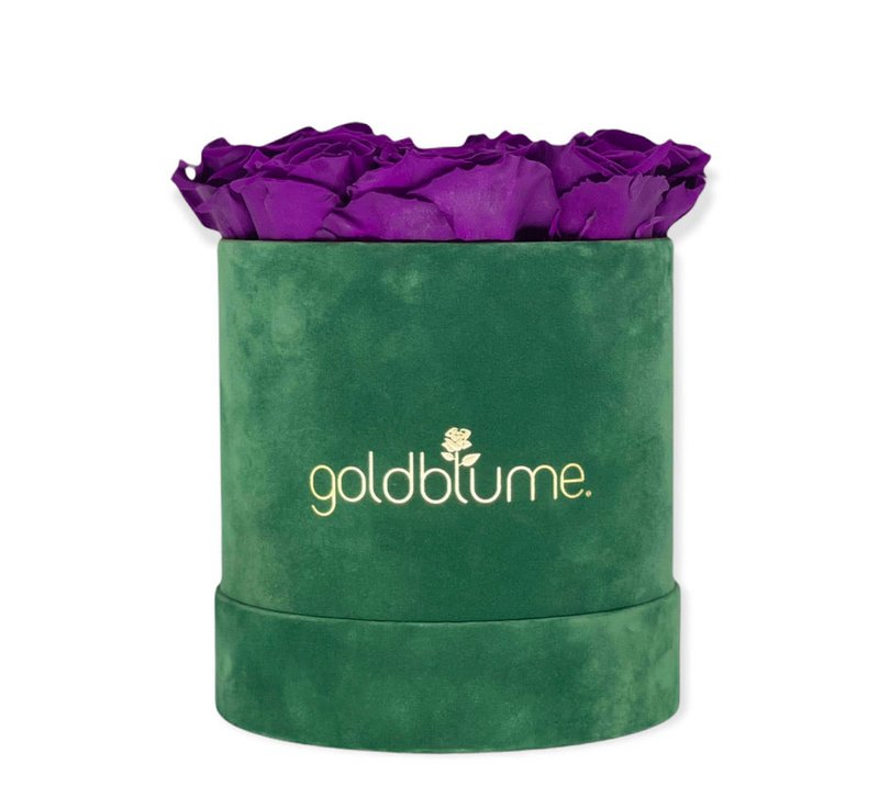 Colección Terciopelo Verde