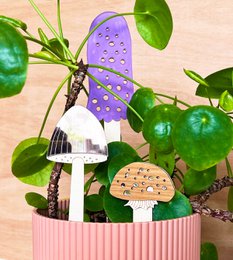  A set of 3 decorative plant stands featuring whimsical mushroom designs in various colors and shapes.