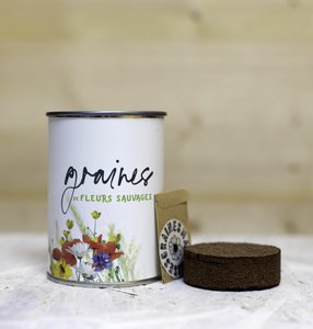 Wildflower seeds - white range