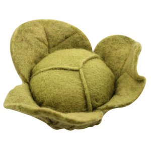 Vegetable Cabbage/Lettuce