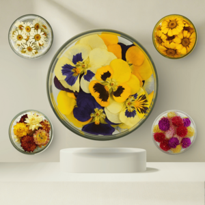 Speciale bloemen - eetbare gedroogde bloemen | B2B