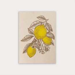  Postcard with an illustration of lemons on eco paper.

The image shows an illustration of lemons on a beige background. The lemons are depicted in a stylized, hand-drawn manner, with yellow centers and detailed leaves and branches surrounding them. The overall aesthetic suggests an eco-friendly or natural design, fitting the "eco paper" description provided in the product title.