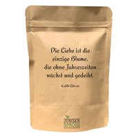 Liefde is de enige bloem... (zonnebloem)