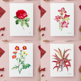 Pack Todos los Colores - Postales Hechas A Mano A6 con Sobre - Botanical Vintage