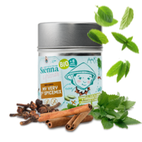 MEINE ALLER ERSTE GEWÜRZMISCHUNG – OHNE SALZZUSATZ – OHNE ZUSATZSTOFF – 37G – AB 6 MONATEN