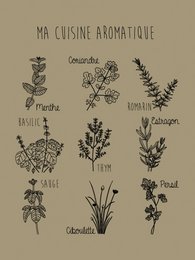 Decorative poster featuring illustrations of various aromatic herbs and spices, including rosemary, thyme, lavender, and more. The poster has a neutral color scheme and a minimalist, botanical style.