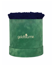 Colección Terciopelo Verde