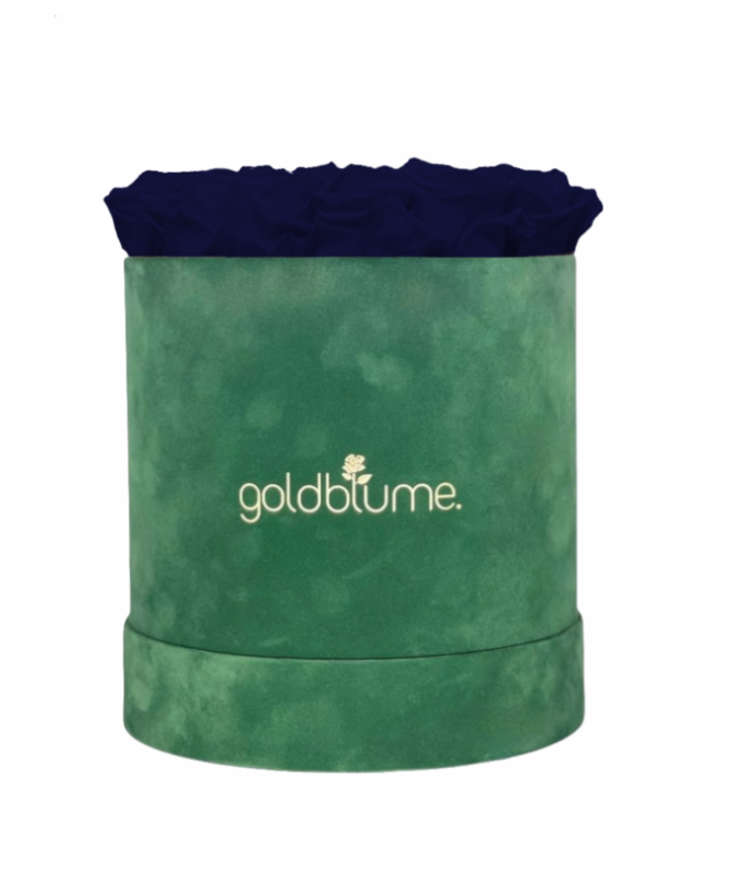 Colección Terciopelo Verde