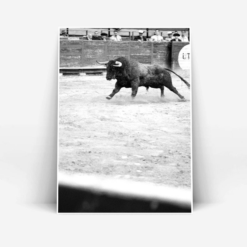 El toro