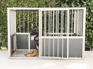 Hondenbox K9 Edition WILLIAM Extra Large