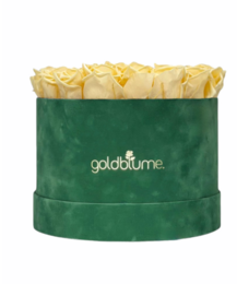 Colección Terciopelo Verde