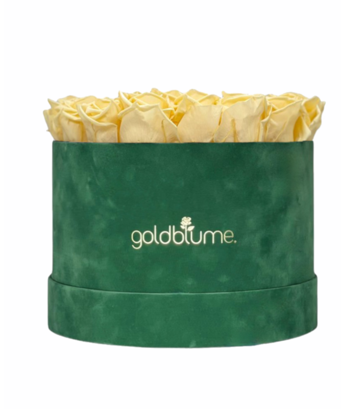 Colección Terciopelo Verde