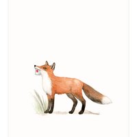 postcard | Fox & heart