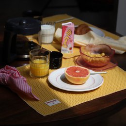 Plain Textured Placemat - Mustard Waffle - Set of 2