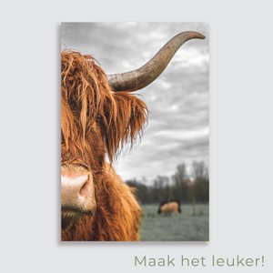 Tuinposter Highlander