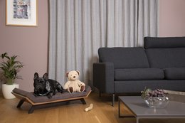 Rectangular dog and cat bed in oak or walnut wood, available in multiple sizes to accommodate different pet needs.