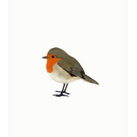postcard | Robin
