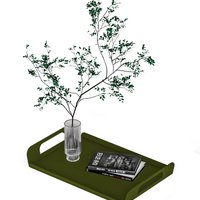 Vigor Tray Green