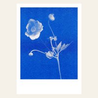 Risografie Postkaart - Anemone - Din A6
