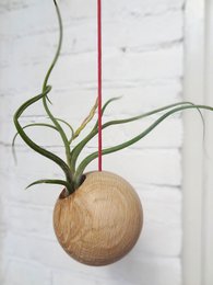 Hanging Sphere - Light Oak