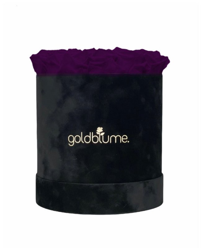 Velvet Black Collection