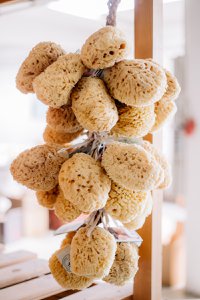 Hangboeket natuurspons voor raam en winkel, 36 sponzen