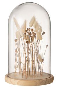 J -Line Decoratie Stolp Droge bloem - Glas/Wood - Ecru/Bruin - Large