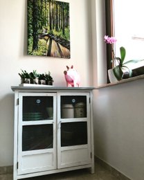 gåtur i skoven
