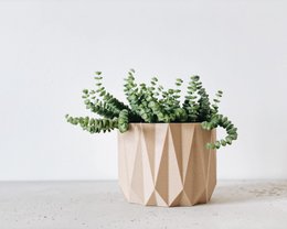 ORIGAMI Kamerplanter