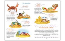 "WiBuKi" knowledge book for children: The underwater world - lots of things about animals that live in the depths of the oceans - for children from 3 years