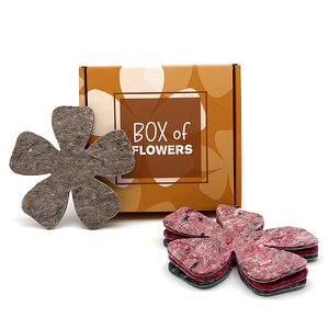 Onderzetters in giftbox set van 4 bloemen