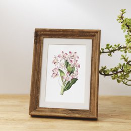 Botaniczny Art Print Mix x16 | Vintage ilustracja kwiat | Dekoracje ścienne