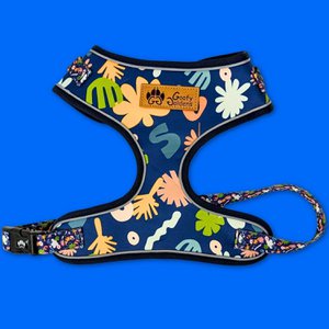 Hondenharnas diepe agua