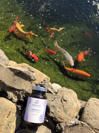 Omega-3