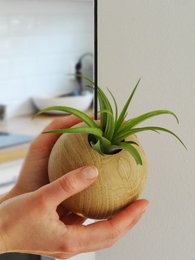 Hanging Sphere - Light Oak