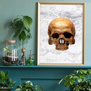 Gouden schedel marmer print wit