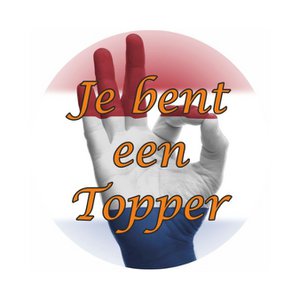 Etiketten - "Du bist ein Topper" - 45 mm - 250 Stück