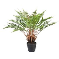 Kunstpflanze segelt 66 cm