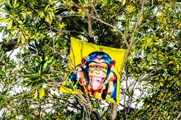 Cushion Funky Monkey af Vincent Richeux