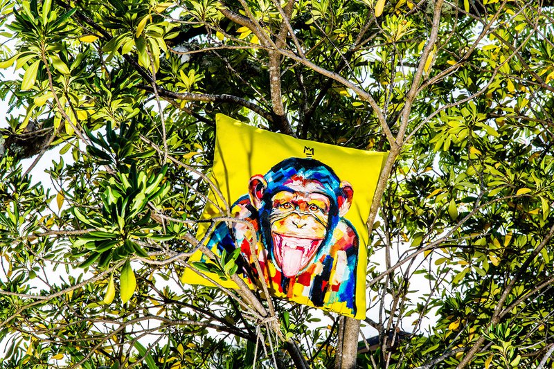 Cushion Funky Monkey af Vincent Richeux