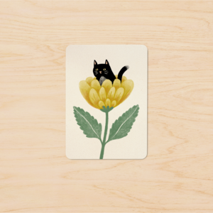 Note card A7 |  Surprise