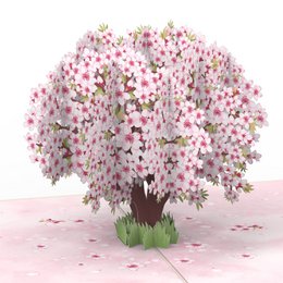 A pop-up card featuring a delicate cherry blossom tree with pink flowers blooming against a white background. The card is designed for love and special occasions.