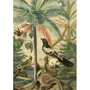 Wall-Art | Bird Paradise