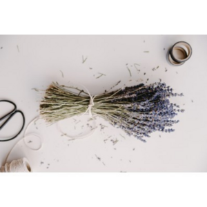 Stelletje fijne lavendel