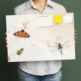 Desk Pad - Insectos