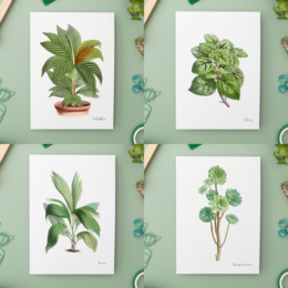  Vintage botanical illustrations of green plants in pots, featuring various leaf shapes, textures, and colors. The illustrations have a botanical, natural, and vintage aesthetic.
